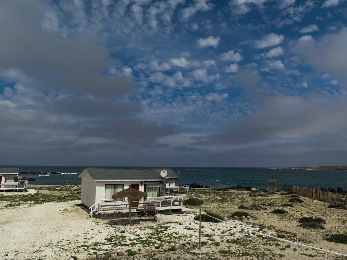 Refugio Humboldt Villa Punta de Choros Exterior photo