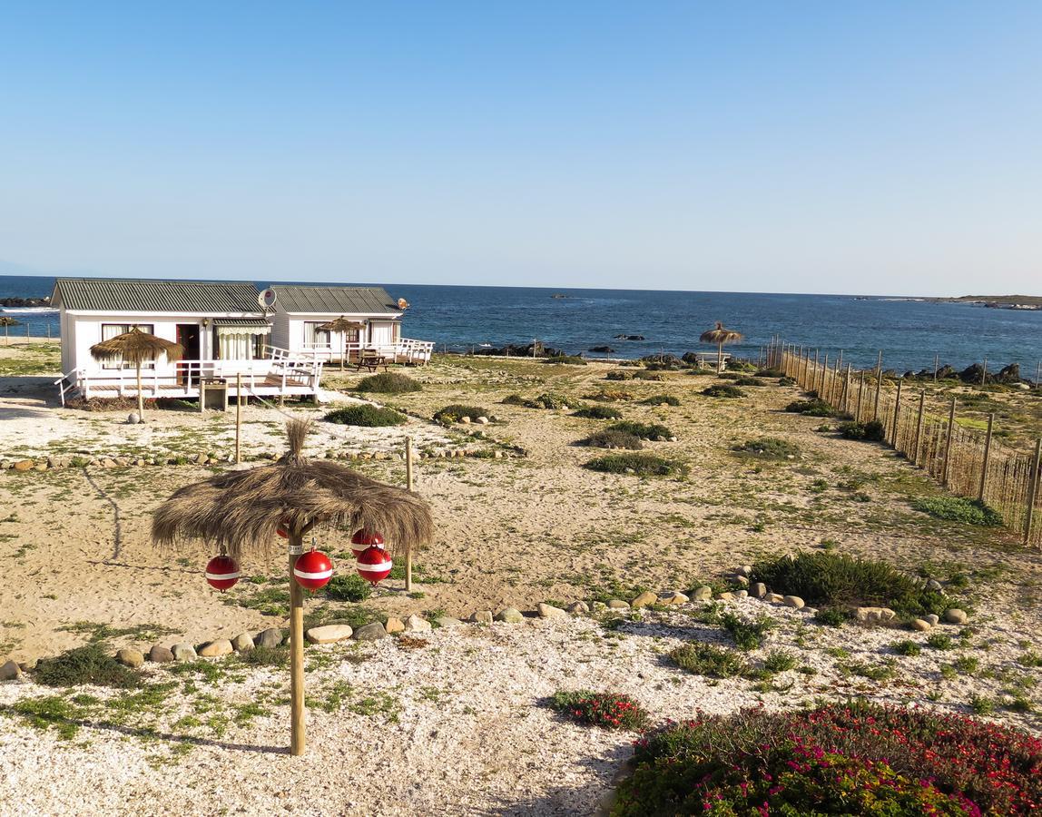 Refugio Humboldt Villa Punta de Choros Exterior photo